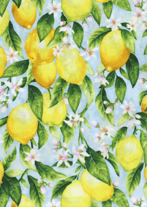 Hi Fashion Lemons And Floral On Light Blue Premium Print Cotton Fabric